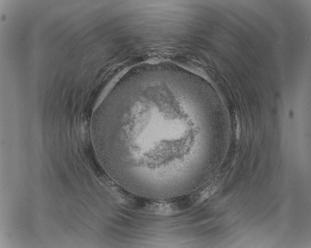 X0000068900276200605122107