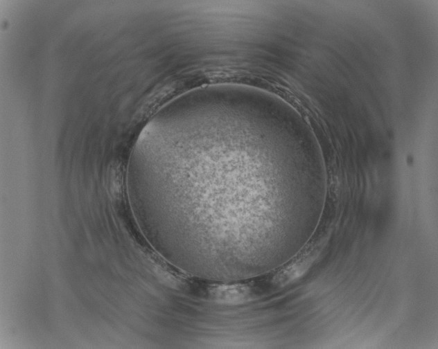 X0000068900277200605122107