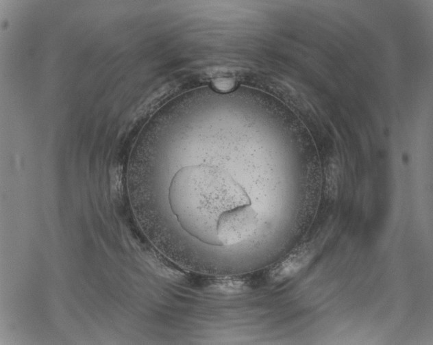 X0000068900278200605122107