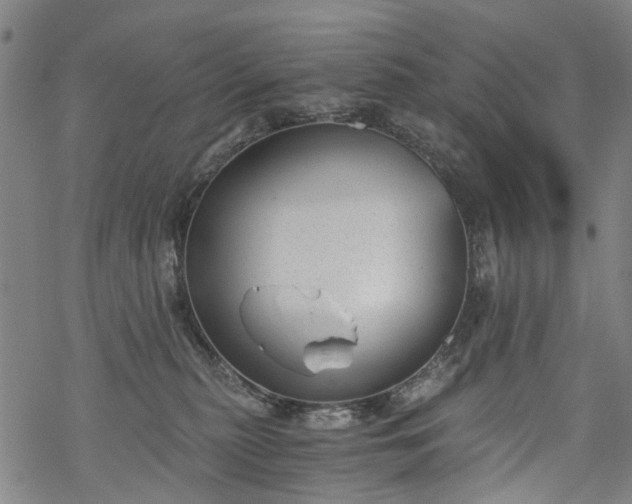 X0000068900279200605122107