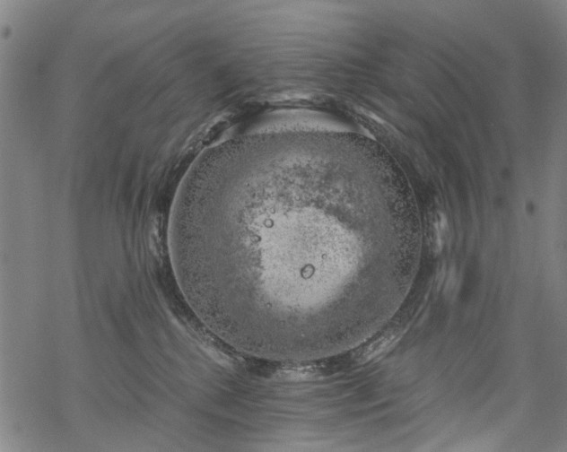 X0000068900280200605122108