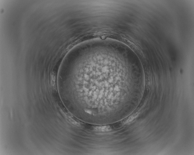 X0000068900281200605122108