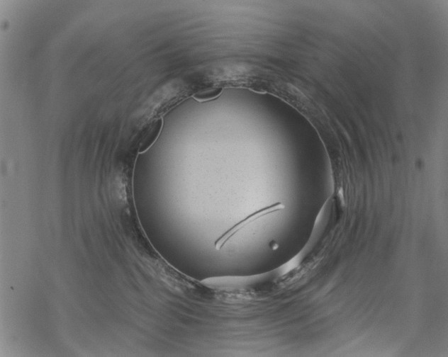 X0000068900282200605122108