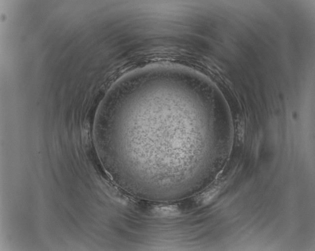 X0000068900283200605122108