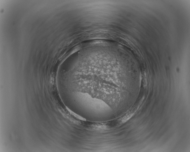 X0000068900284200605122108