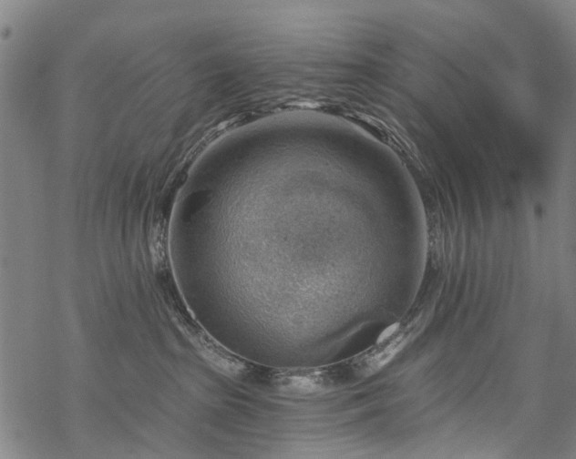 X0000068900285200605122108