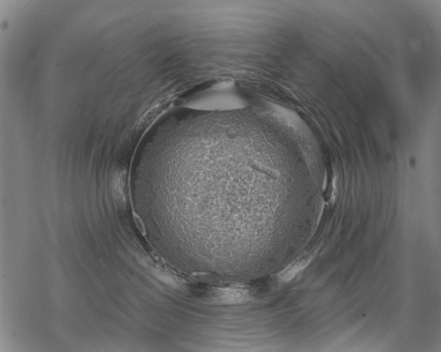 X0000068900286200605122108