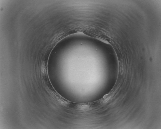 X0000068900287200605122108