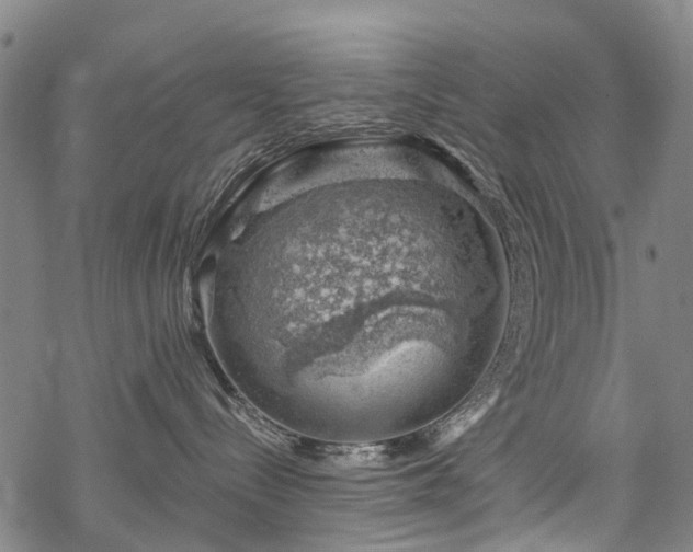 X0000068900288200605122108