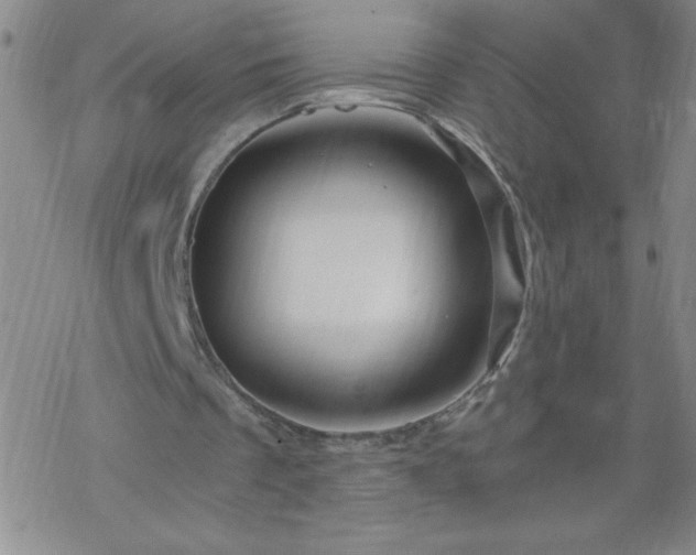 X0000068900289200605122107