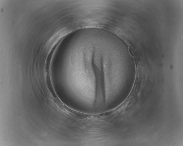 X0000068900290200605122107