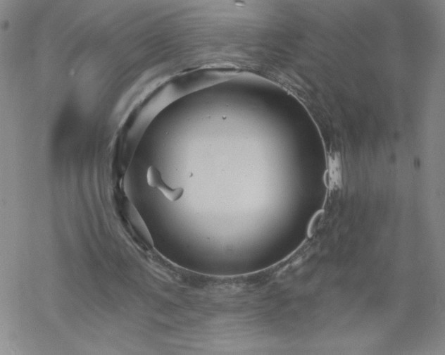 X0000068900291200605122107