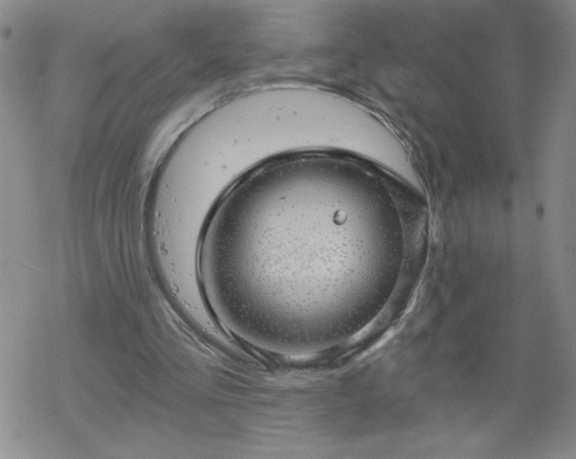 X0000068900293200605122107