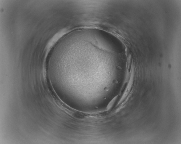 X0000068900294200605122107