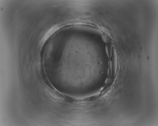 X0000068900295200605122107