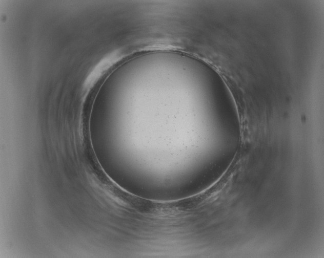 X0000068900296200605122107