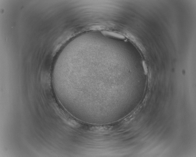 X0000068900297200605122107