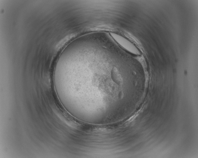 X0000068900298200605122107