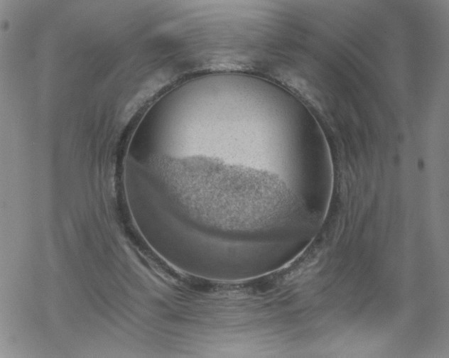 X0000068900299200605122107