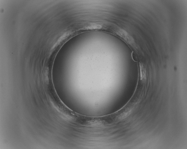 X0000068900300200605122107