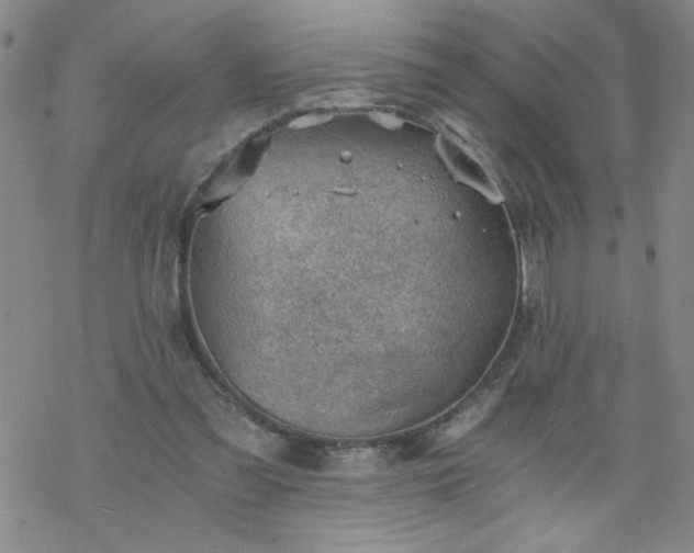 X0000068900301200605122107