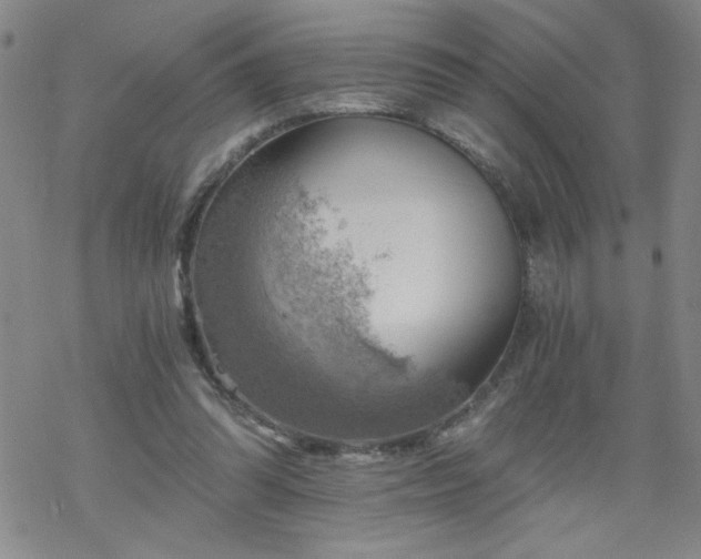 X0000068900302200605122107