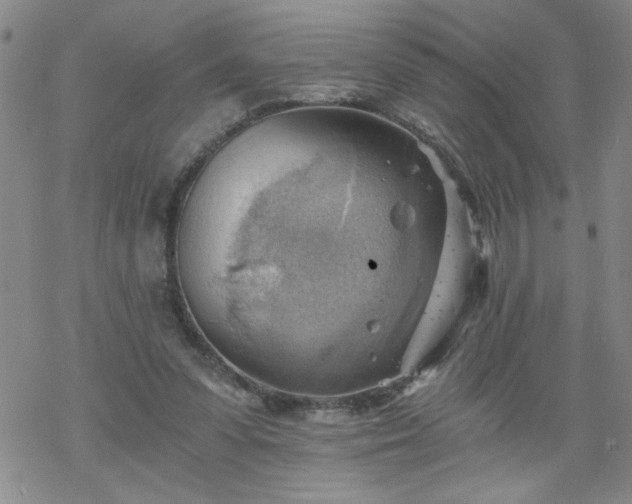 X0000068900303200605122107