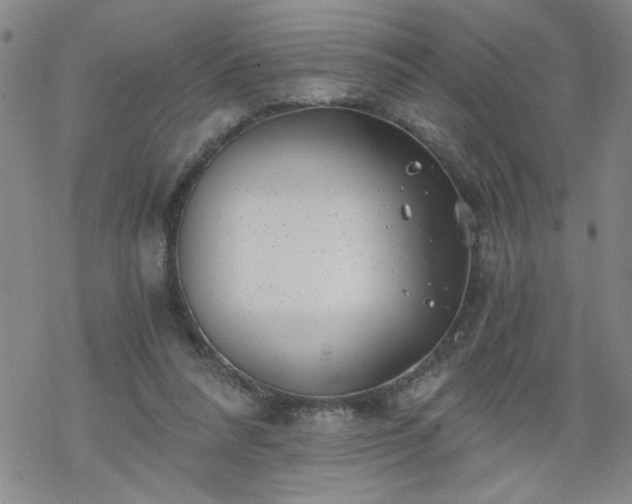 X0000068900304200605122107