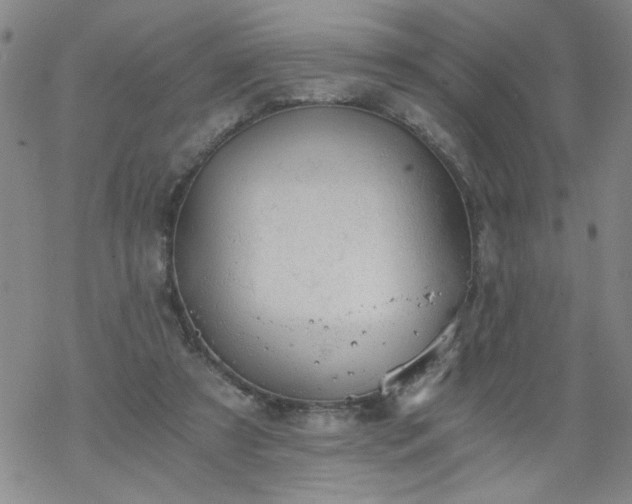 X0000068900305200605122107