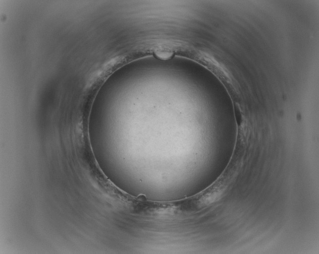 X0000068900306200605122107