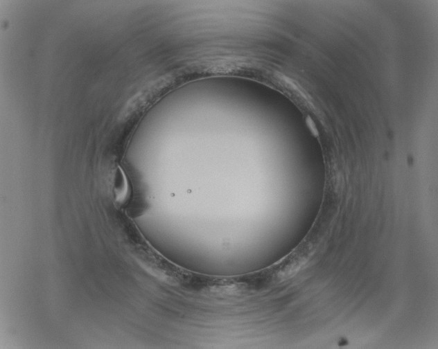 X0000068900307200605122107