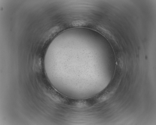 X0000068900308200605122107