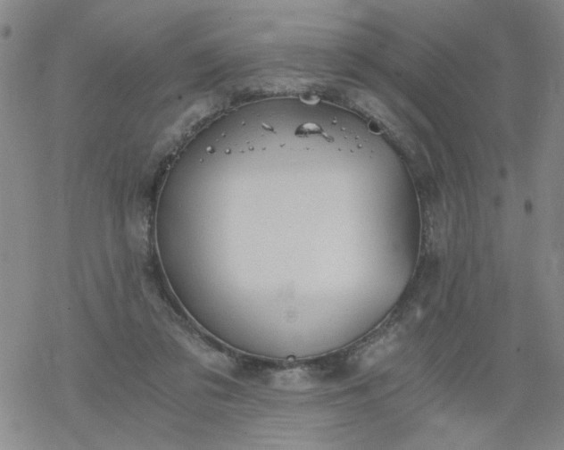 X0000068900309200605122107