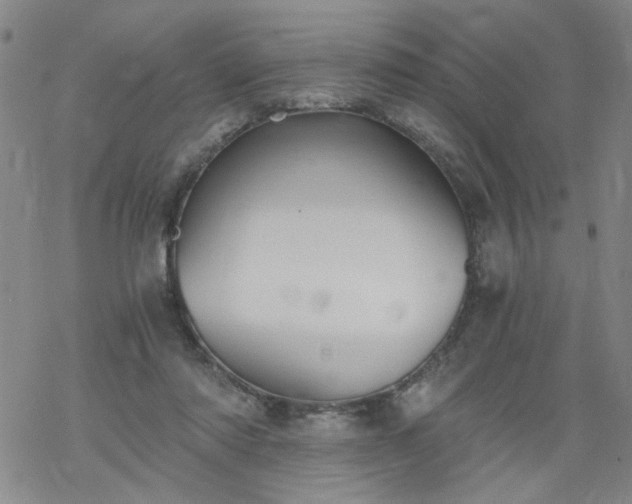 X0000068900310200605122107