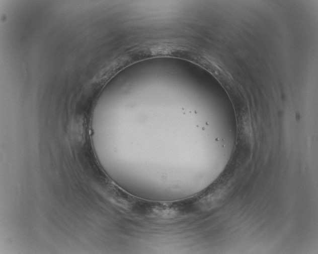 X0000068900311200605122106