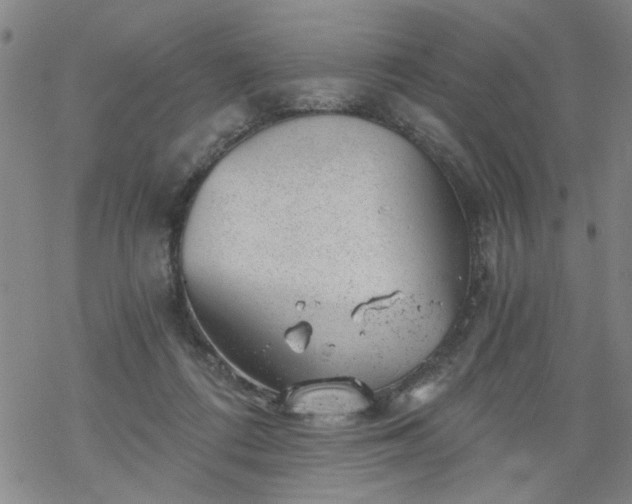 X0000068900312200605122106