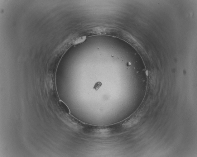 X0000068900313200605122106