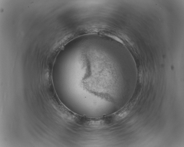 X0000068900314200605122106