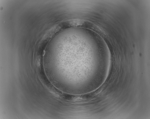 X0000068900315200605122106