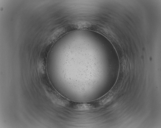 X0000068900316200605122106