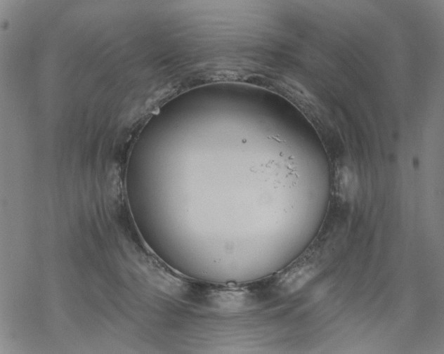 X0000068900318200605122106