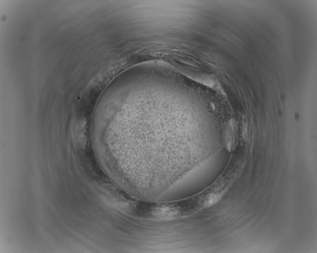 X0000068900319200605122106