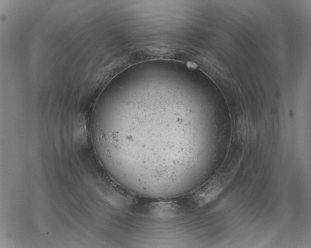 X0000068900320200605122106