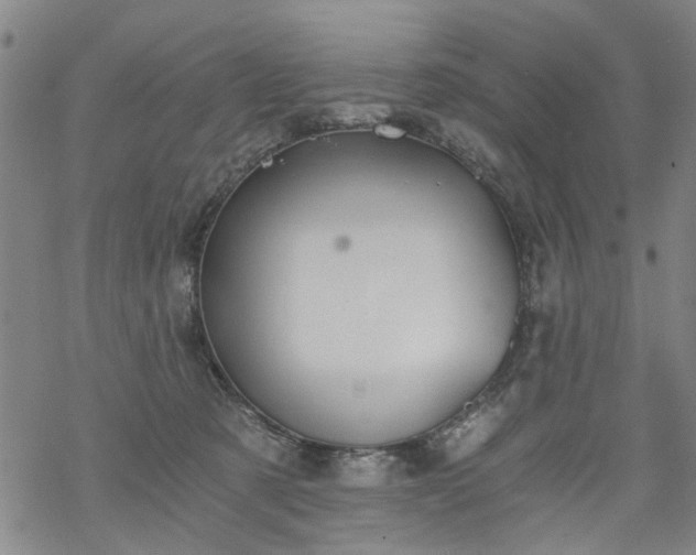 X0000068900321200605122106