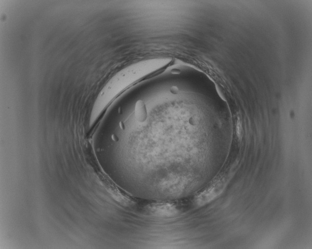 X0000068900322200605122106