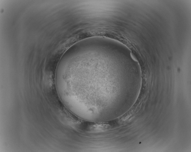 X0000068900323200605122106