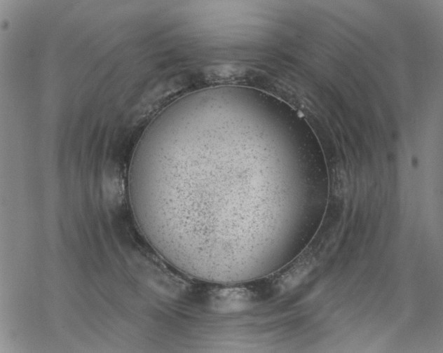 X0000068900324200605122106