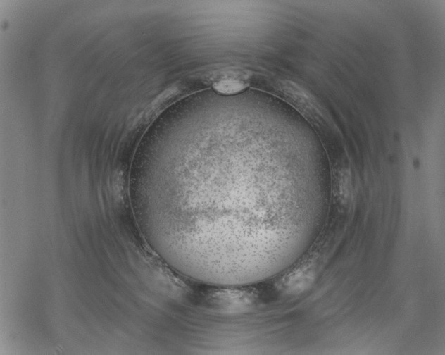 X0000068900326200605122106