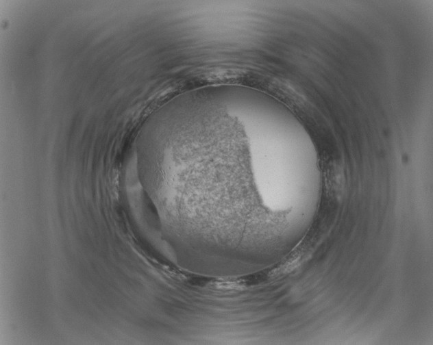 X0000068900327200605122106