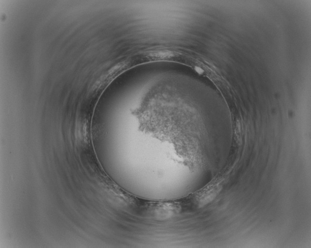 X0000068900330200605122106